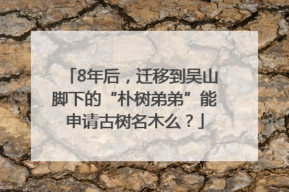 8年后，迁移到吴山脚下的“朴树弟弟”能申请古树名木么？
