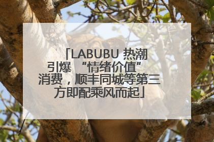 LABUBU 热潮引爆 “情绪价值” 消费，顺丰同城等第三方即配乘风而起