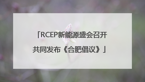 RCEP新能源盛会召开 共同发布《合肥倡议》